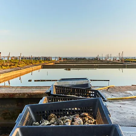 Maison De A Notre-dame-de-monts, 81m², 6 Personnes, Proche - Fr-1-540-153 * Notre-Dame-de-Monts