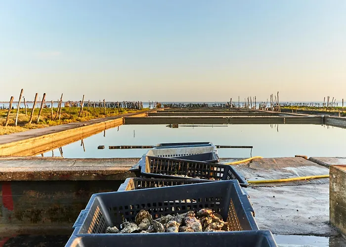 Maison De A Notre-dame-de-monts, 81m², 6 Personnes, Proche - Fr-1-540-153 Tatil Evi *