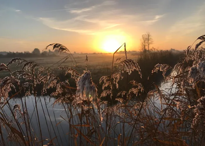 Prázdninový dům Maison De A Notre-dame-de-monts, 81m², 6 Personnes, Proche - Fr-1-540-153 *
